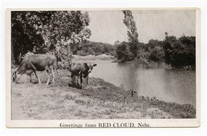 Image description is not available for PHO-264-798